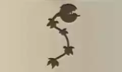 ハエトリソウのシルエット