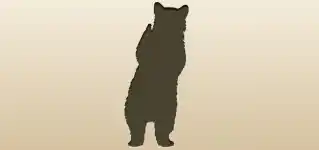 Bear silhouette