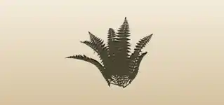 Fern silhouette