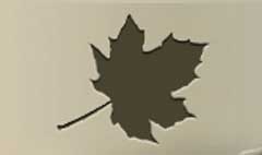 Maple Leaf silhouette