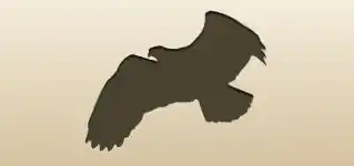 Eagle silhouette
