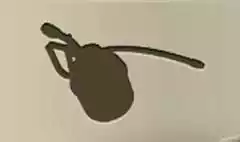 油さしのシルエット