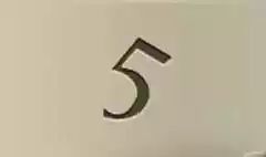 5番のシルエット
