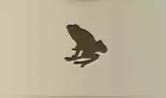 カエルのシルエット