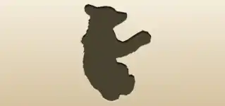 Bear silhouette