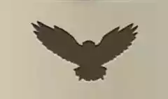 ワシのシルエット