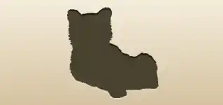 Bear silhouette
