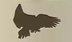 ワシのシルエット