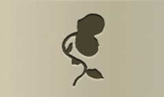Venus Flytrap silhouette