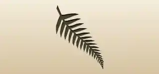 Fern silhouette