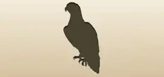 Eagle silhouette