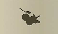 Apples silhouette