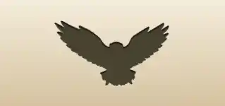 Eagle silhouette