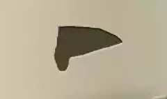ピザのシルエット