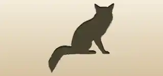 Fox silhouette
