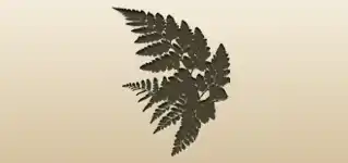 Fern silhouette