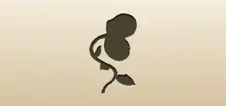 Venus Flytrap silhouette