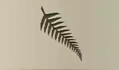 シダ植物のシルエット