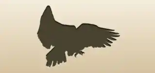 Eagle silhouette