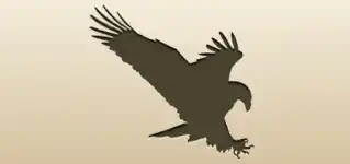 Eagle silhouette