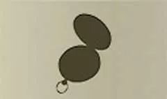 Compass silhouette
