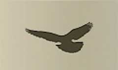 Pigeon silhouette #3