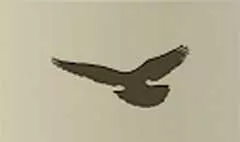Pigeon silhouette
