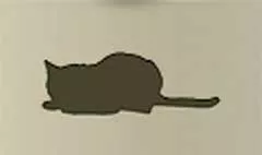 Cat silhouette