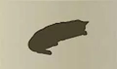 Cat silhouette