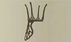 Chair silhouette