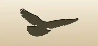 ハト