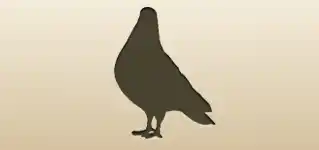 ハト