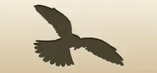 ハヤブサ