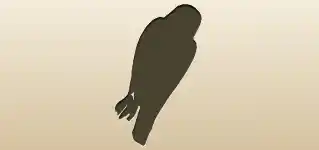 ハヤブサ