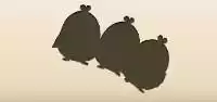 Chicks