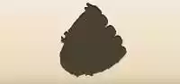 Baseball Glove