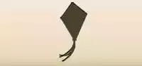Kite