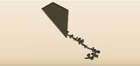 Kite