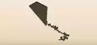 Kite
