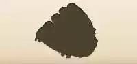 Baseball Glove