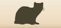 Weasel