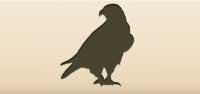 Falcon