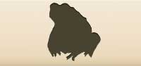 Toad