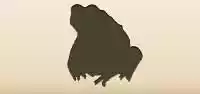 Toad