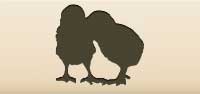 Chicks