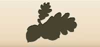 Acorns