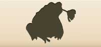 Toad
