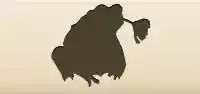Toad