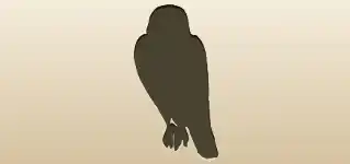 ハヤブサ