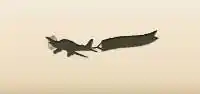 航空広告のシルエット
